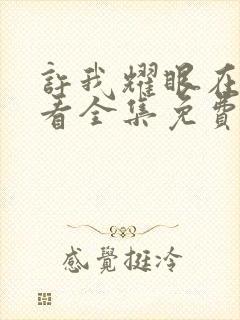 许我耀眼在线观看全集免费播放