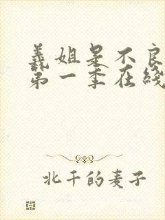 义姐是不良妈妈第一季在线观看免费中文版