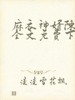 麻衣神婿陈黄皮全文免费下载封面