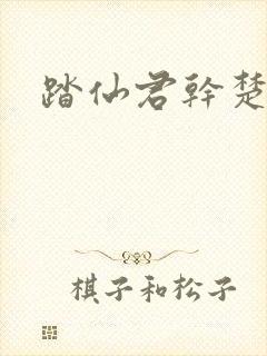 踏仙君干楚晚封面