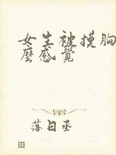 女生被摸胸是什么感觉