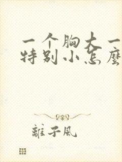 一个胸大一个胸特别小怎么回事封面