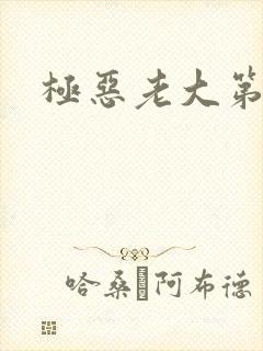 极恶老大第1季封面