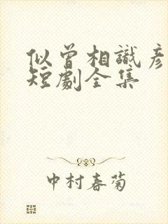 似曾相识彦归来短剧全集