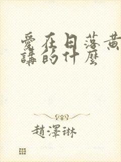 爱在日落黄昏时讲的什么封面
