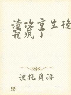 渣攻重生后把我宠疯了