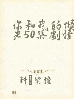 你和我的倾城时光50集剧情