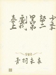 泰剧黑帮少爷爱上我第二季