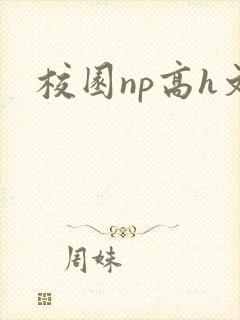 校园np高h文封面