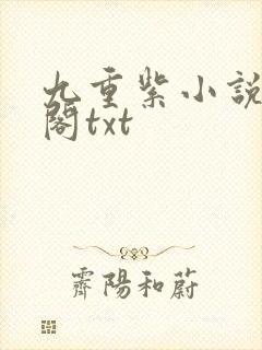 九重紫小说笔趣阁txt封面