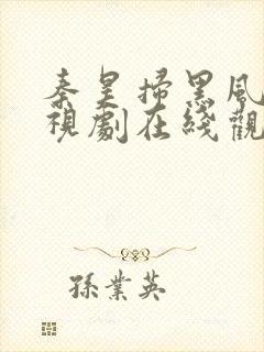 秦昊扫黑风暴电视剧在线观看免费完整版