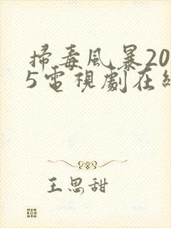 扫毒风暴2025电视剧在线观看全集