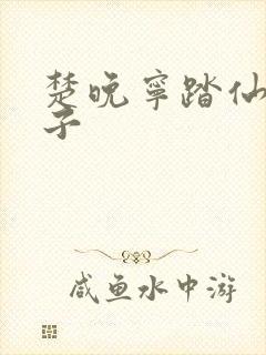 楚晚宁踏仙君生子