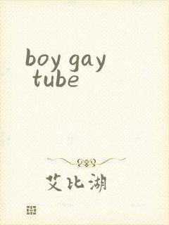 boy gay tube封面
