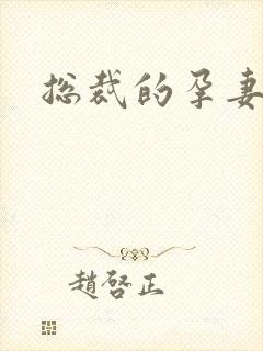 总裁的孕妻