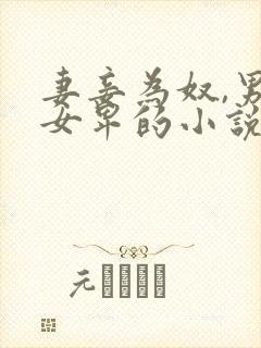 妻妾为奴,男尊女卑的小说封面