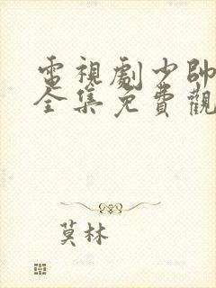 电视剧少帅48全集免费观看在线云