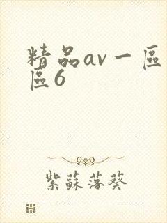 精品av一区二区6