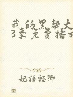 我的黑帮大佬第3季免费播放电视剧
