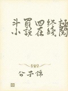 斗罗四终极斗罗小说在线阅读
