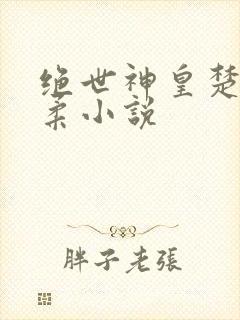 绝世神皇楚风苏柔小说