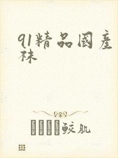 91精品国产丝袜封面