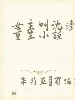 女主叫沈清婉的重生小说