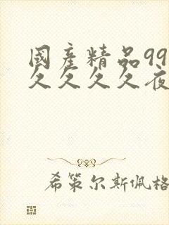 国产精品99久久久久久夜夜嗨