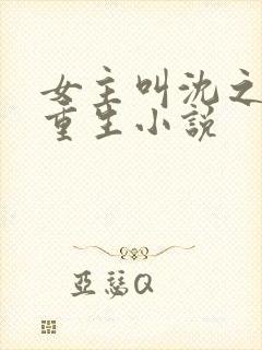 女主叫沈之念的重生小说