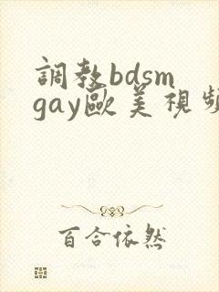 调教bdsm gay欧美视频封面