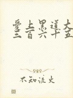 爱上黑道大佬的三百六十五天