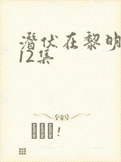 潜伏在黎明之前12集