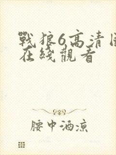 战狼6高清国语在线观看封面