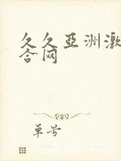 久久亚洲激情综合网封面