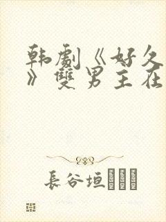 韩剧《好久不见》双男主在线观看封面
