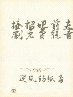 接招吧前夫哥短剧免费观看封面