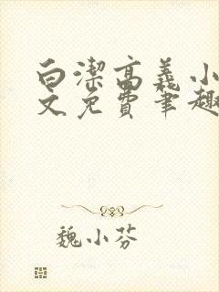 白洁高义小说全文免费笔趣阁