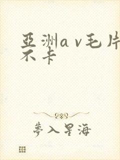 亚洲a v毛片不卡