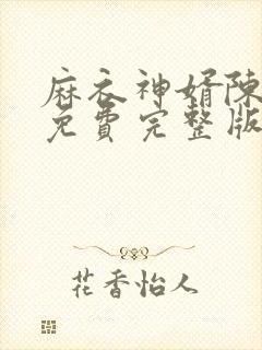 麻衣神婿陈黄皮免费完整版