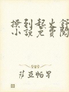 撩到起火舒漾的小说免费阅读全文
