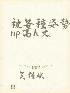 被各种姿势玩弄np高h文