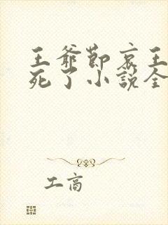 王爷节哀王妃又死了小说全集