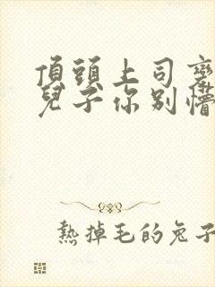 顶头上司变后妈儿子你别懵免费