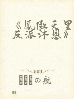 《凤傲天里黄毛反派沐恩》小说