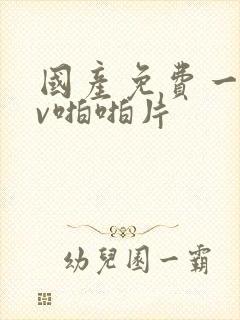 国产免费一级av啪啪片