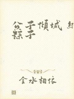 公子倾城 维和粽子