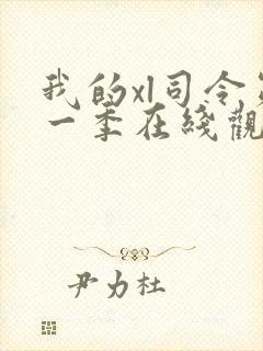 我的xl司令第一季在线观看