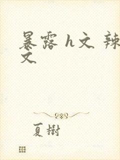 暴露 h文 辣文