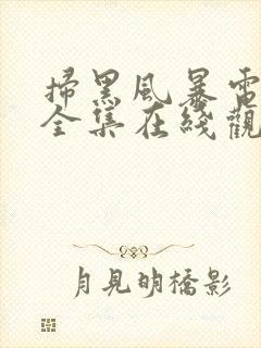 扫黑风暴电视剧全集在线观看免费