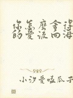 你怎么舍得让我的爱流向海
